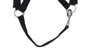 Museau de cheval de pâturage en nylon de haute qualité avec sangles rembourrées réglables Conception respirante légère pour un usage quotidien - Product Image 3