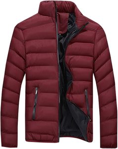 2025 luxe hommes Streetwear fermeture éclair imperméable doudoune couleur unie hiver vêtements de plein air avec col montant - Product Image 1