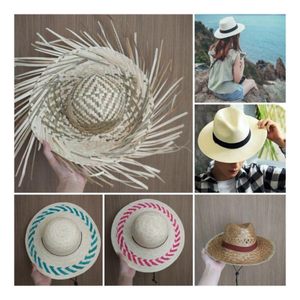 Sombrero Fedora de Paja con Ala Ancha de 2-3 Pulgadas, Informal, Deportivo, para Viajes, Pesca, 99GD - Caryln - Product Image 1