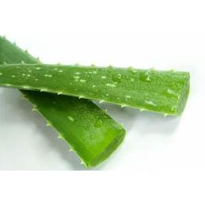 Gel d'aloe vera biologique avec acide hyaluronique, ingrédients à base de plantes et blanchissants, hydratant pour le visage, les mains et le corps, offre OEM - Product Image 2