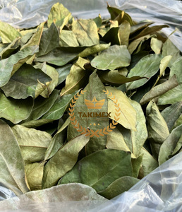Hojas enteras naturales 100%, hojas secas de Guanábana para hacer té de muy alta calidad de Vietnam y embalaje OEM a precio barato - Product Image 3