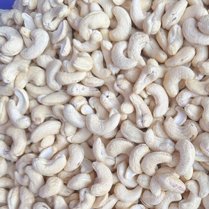 Precios de Fabricación Mundiales de Nueces de Anacardo al por Mayor Ww240 Vietnam Santigo Vietnam Exportadas al por Mayor a Asia, UE, Medio Oriente - Product Image 1