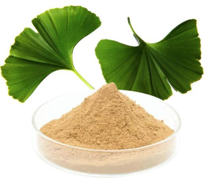 Food Supplement <strong>Ginkgo</strong> Biloba <strong>Leaf</strong> <strong>Extract</strong> 24% Flavones 6% Lactones Powder - Product Image 3