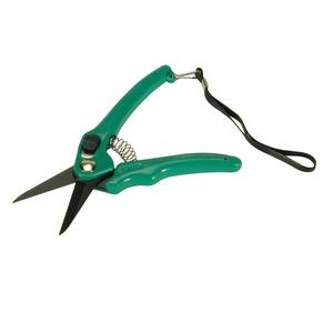 ShanBro HK-096 Tijeras para Recortar Pezuñas de Animales Grandes, Instrumento Quirúrgico Veterinario (Aparatos de Anatomía) Hecho en Pakistán - Product Image 5