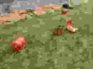 심층 지하수 탐지기 저항 모니터링 시스템 지구물리 시험 장비 - Product Image 5