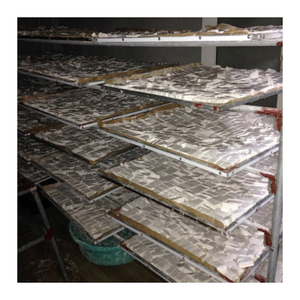 La poudre de racine de flèche répond aux normes internationales pour la qualité alimentaire et l'emballage en vrac - Product Image 2