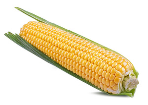 Maïs jaune séché frais de qualité supérieure pour l'alimentation des animaux Produit de maïs jaune de qualité supérieure - Product Image 2