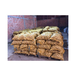 Racine entière naturelle de gingembre frais pour plateaux de vente au détail kits de repas et étagères d'épicerie, cultivée au Vietnam, qualité d'affichage premium - Product Image 2