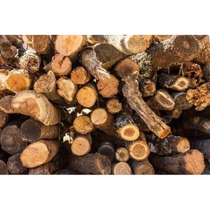 Madera seca al horno de alta calidad, madera con control de humedad para muebles y edificios - Product Image 4