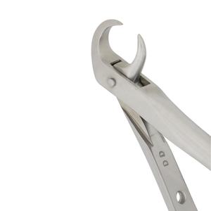 Fórceps de Extracción Dental Manual de Acero Inoxidable Tipo Cuerno de Vaca para Remover Molares Inferiores, Instrumento Quirúrgico Oral - Product Image 5