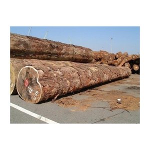 Grumes de bois d'okan solides disponibles pour le commerce de gros et les marchés industriels du bois - Product Image 5