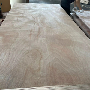 Contrachapado Bintangor de Primera Clase Comercial FOMEX GREENWOOD, Espesor de 12-18 mm, Emisión E2 para Uso en Interiores, Muebles de Diseño Moderno - Product Image 1