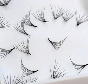 Nouveau chaud coréen PBT Fiber Lashes 1000 Box Collection Extension facile 0.03mm 0.20mm 8D 9D 10D Loose Promade Fans Extensions de cils - Product Image 5