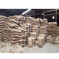 Haute qualité Robusta café haricots verts nouvelle culture Vietnam origine prix d'usine haut fournisseur-HANFIMEX + 84374074818
