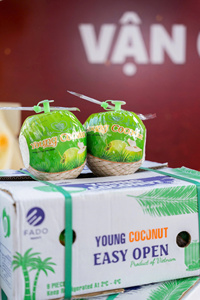 Coco Fresco Joven de Primera Calidad, con Cáscara Entera, Forma de Diamante, Piel Verde, 70-90 Días de Vida Útil, Calidad de Exportación Ben Tre - Product Image 2