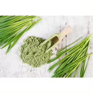 Natural Wheat <b>Grass</b> Powder Freeze <b>Dried</b> & Cold Pressed Wheat <b>Grass</b> Supplements Direct From Indian Manufacturer - Product Image 1