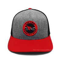 Gorras de Camionero con Logotipo Personalizado OEM, de Alta Calidad, Estilo Moderno, con Malla en la Parte Trasera y Tela Acolchada, para Uso Casual al Aire Libre y Viajes, Vietnam