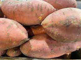 Patates douces fraîches de qualité supérieure, forme allongée, durée de conservation de 15 jours, marque Saremco, vente en gros du Pakistan, en vente - Product Image 4