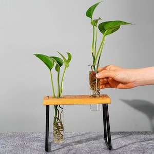 Vaso de Vidro Duplo Moderno com Acabamento Esmaltado, Suporte de Madeira e Estrutura Metálica, Ecológico, Leve, para Plantas Hidropônicas, para Casa e Escritório - Product Image 2