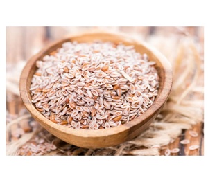 Compre cáscara de psyllium a granel para su negocio de alta calidad a precios mayoristas para la salud y la producción de alimentos - Product Image 1