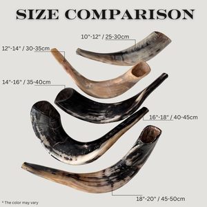 Cuerno Shofar Religioso Pulido de Rani Industries - Material Orgánico, Forma Natural, Tacto Real, Artículo Coleccionable - Product Image 4