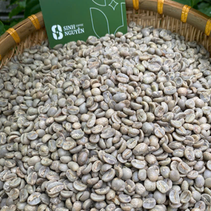 Granos de Café Robusta 100% Naturales y Orgánicos, Recogidos a Mano y Procesados con Miel, 50 kg/bolsa, Directamente de la Fábrica en Vietnam - Product Image 1