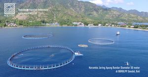 Cage flottante pour poissons de haute qualité AQT HDPE, type cage ronde pour pisciculture, diamètre de 10m à 50m et profondeur de 6 mètres - Product Image 5