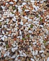 Mélange d'aliments naturels pour pigeons |   Aliment pour oiseaux à haute teneur en protéines, écologique, nettoyé de la poussière, pour pigeons de course et d'élevage |   12-18% brut