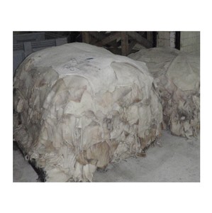 Peaux de porc humides salées - Matières premières prêtes à l'emploi pour le traitement et la fabrication du cuir - Peaux de haute qualité pour le cuir - Product Image 6