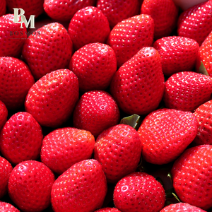 น้ำเชื่อมรสสตรอว์เบอร์รี โบสโมส_ ชันกี้ ฟลาเวอร์ 2.5 กก. - ผู้จัดจำหน่ายชานมไข่มุกที่ดีที่สุดจากไต้หวัน, น้ำเชื่อมเข้มข้นสำหรับชานมไข่มุก - Product Image 2