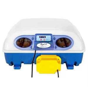 Incubateur d'oeufs professionnel automatique Real 49-Pour les oeufs-Incubateur d'oeufs 49 de grande taille d'occasion fabriqué en Italie - Product Image 1