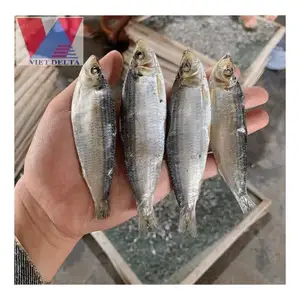 Sıcak satış kaliteli ringa balığı taze kurutulmuş balık füme en İyi fiyatlar toptan ringa balığı füme balık tatil