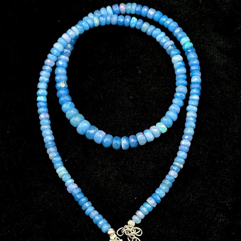 ลาเวนเดอร์