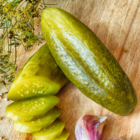 FÁBRICA DE VIETNAM Precio competitivo Calidad de muesca Suministro a granel Etiqueta privada Sabor agrio Ecovita Pepino en escabeche 720ml