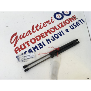 PISTONCINI COFANO POST. RENAULT Twingo III série 8200385560 (14>) - Product Image 1