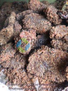 Goma Arábiga Acacia Rikaz de Sudán, Hashab de Alta Calidad, Partículas Finas Crudas Premium, 2 Años de Vida Útil, Temperatura Adecuada para Uso Agrícola - Product Image 5