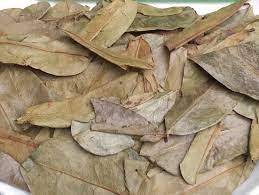 Graviola คุณภาพสูงใบทางเลือกที่สมบูรณ์แบบสำหรับชาสมุนไพรเพื่อสุขภาพ - Product Image 2