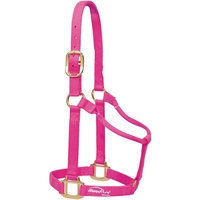 En gros, Licol en cuir personnalisé pour chevaux, en corde, de haute qualité, en matériau PP durable