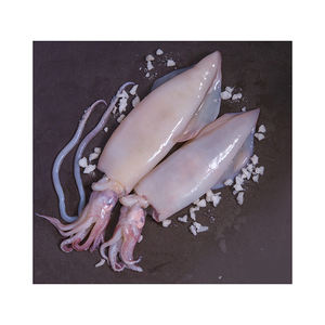 Calamar entero congelado de origen industrial disponible para necesidades de comercio al por mayor continuas - Product Image 1