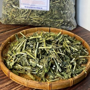 Planta Herbaria Tradicional de Vietnam Clinacanthus Nutans / Hierba de Hierba de Serpiente Seca al por Mayor - Product Image 4