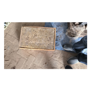 Compra cantidad al por mayor de planta natural de goma Benjamin, precio directo de fábrica para aromaterapia y quemador de incienso - Product Image 1