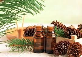 น้ำมันเข็มเฟอร์น้ำมันออร์แกนิกบริสุทธิ์จาก100% ธรรมชาติผู้ผลิตที่เชื่อถือได้ส่งออกคุณภาพสูงจากอินเดีย - Product Image 5