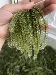 องุ่นเขียวสดจากสาหร่ายทะเลสาหร่ายทะเลอบแห้งตามธรรมชาติบรรจุในถุง - Product Image 4