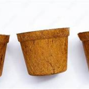 Ecocoir ถ้วยต้นกล้าเป็นมิตรกับสิ่งแวดล้อมถาดหม้อสำหรับการปลูกต้นกล้า - Product Image 1