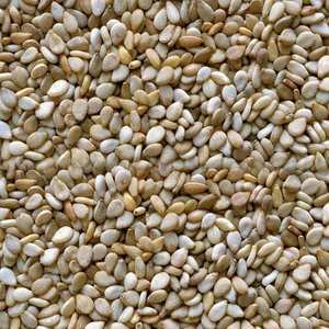 Graines de sésame naturelles de qualité supérieure, grande quantité, meilleure qualité disponible avec emballage personnalisé - Product Image 2