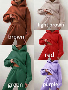 2025 Custom LOGO Blank <b>Women</b> 2 Piece Set Cropped Sweatshirt Long Sleeve Solid Hoodie and Sweatpants Set for <b>Women</b> - Product Image 6