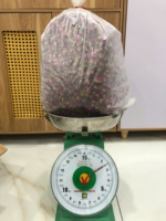 Pétales de rose séchés de qualité supérieure du Vietnam, fleurs comestibles naturelles, qualité cosmétique, fournisseur en gros pour pot-pourri et usage domestique