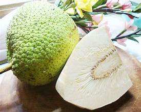 À BASE DE PLANTES CONGELÉ PAIN PROPRE ÉTIQUETTE ALIMENTS ENTIERS POUR LA SANTÉ CONSCIENT SOUTIEN IMMUNITAIRE - Product Image 3