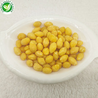 Pâtisserie aux fruits complexes lyophilisés en gros IQF, noix de ginkgo, fruits séchés de Chine, tranches de pommes séchées, fruits séchés comestibles de Chine