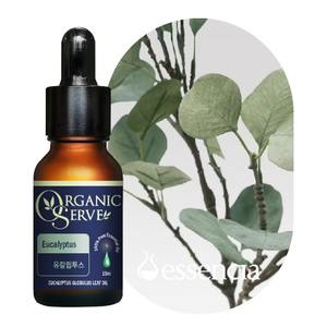 Aceite Esencial de Eucalipto 100% Puro y Orgánico Essencia, 30 ml, para Hidratación y Pérdida de Peso, Suministro OEM - Product Image 1